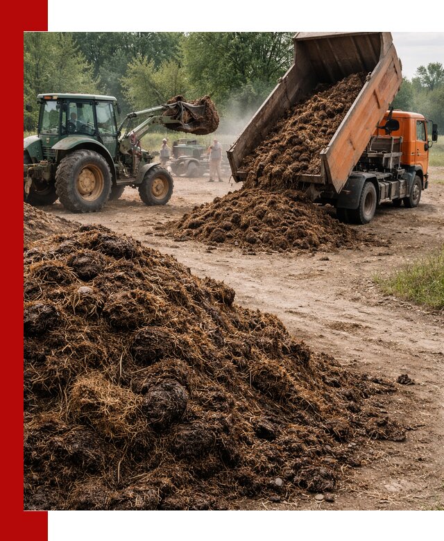 Доставка навоза самосвалами в Североморске для сельхозпотребностей
